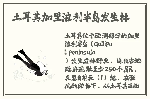极品星空传媒护士大手表